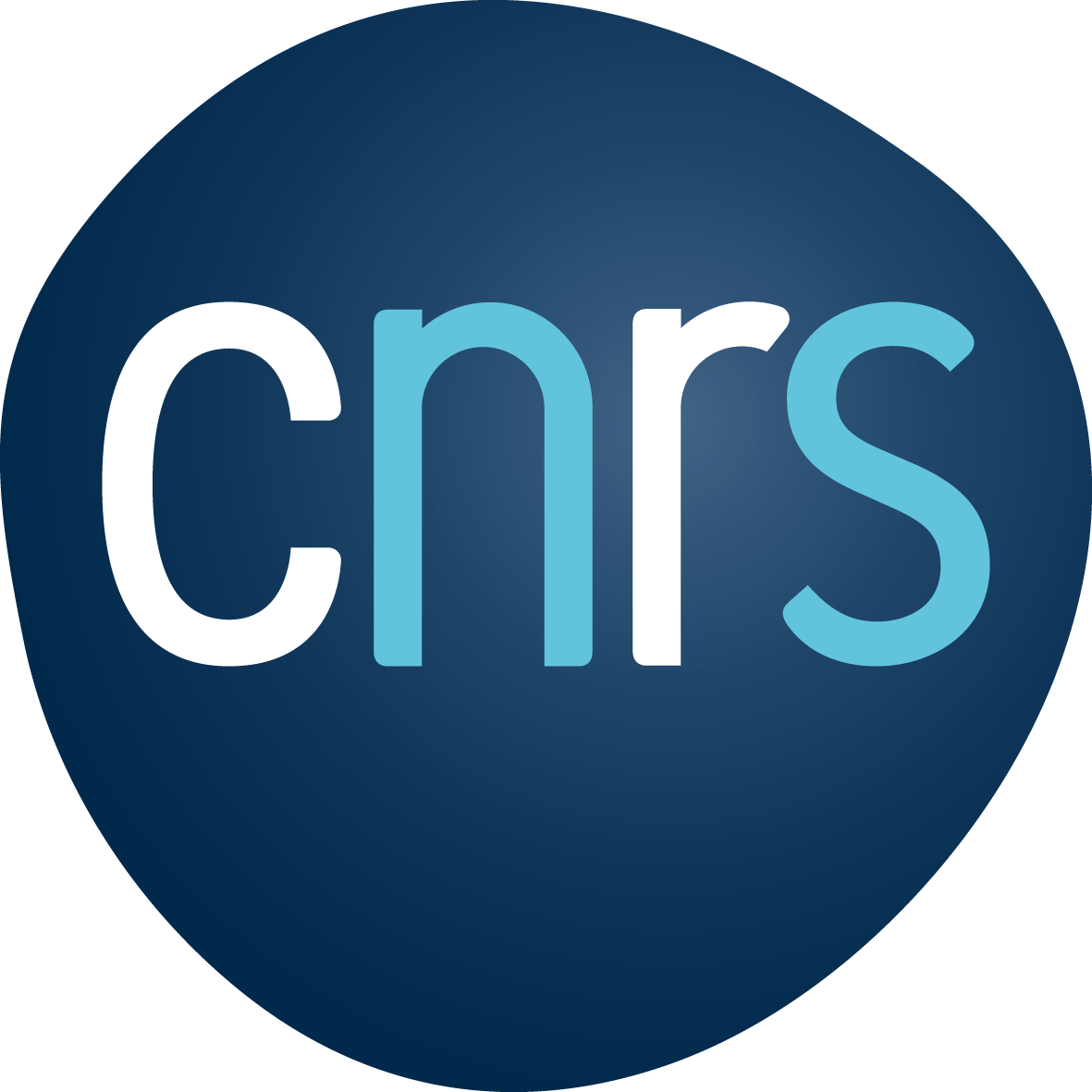 logo CNRS 2019
